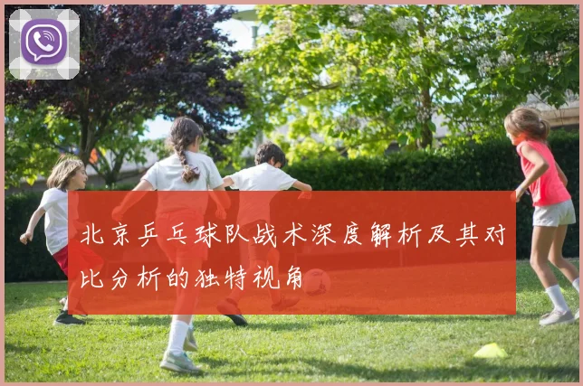 北京乒乓球队战术深度解析及其对比分析的独特视角